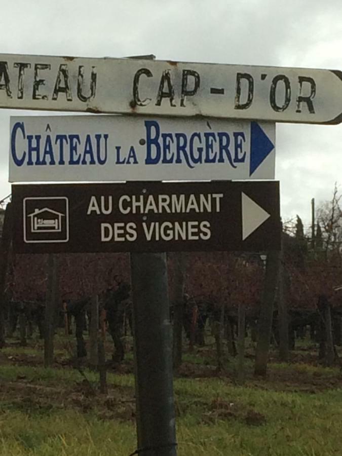 Au charmant des vignes Montagne  Extérieur photo